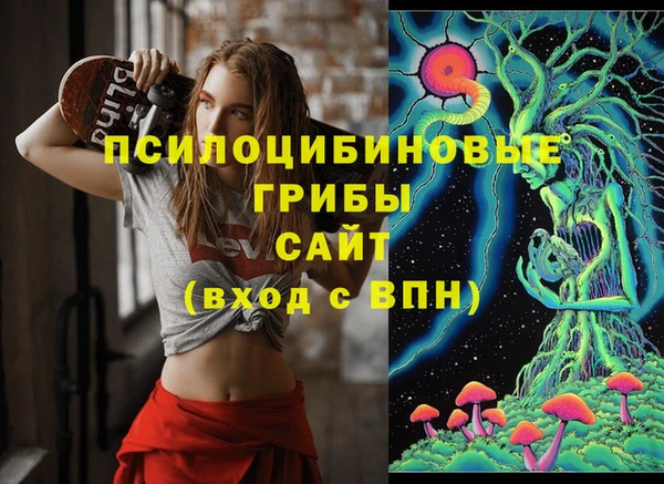 ALPHA-PVP Алексеевка